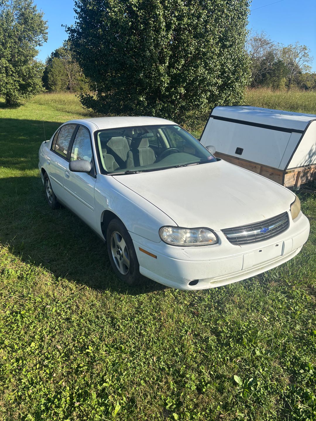 Car Preview