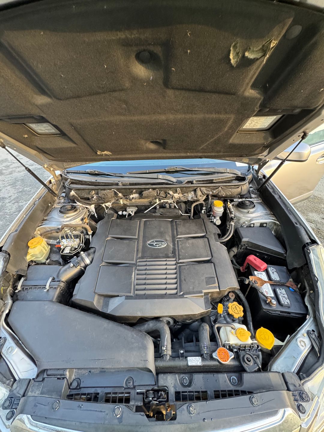Car Preview