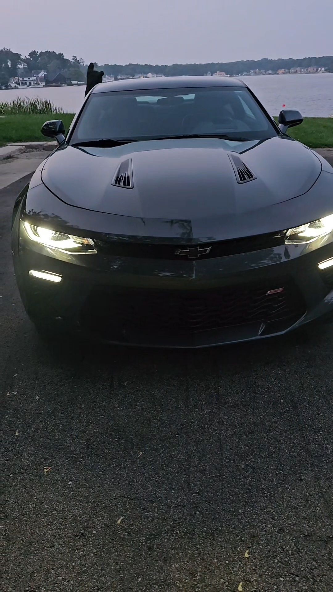 Car Preview