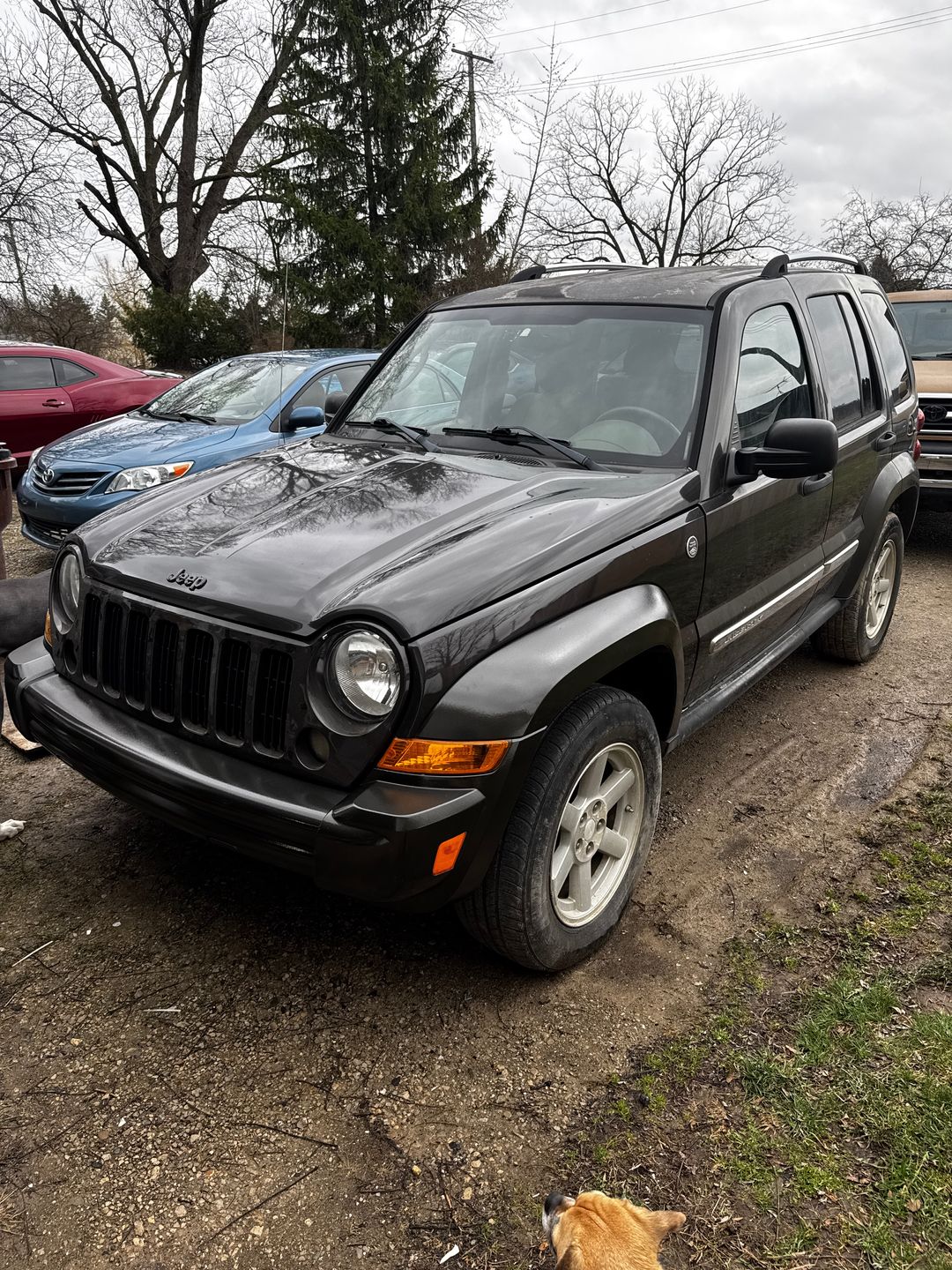 Car Preview