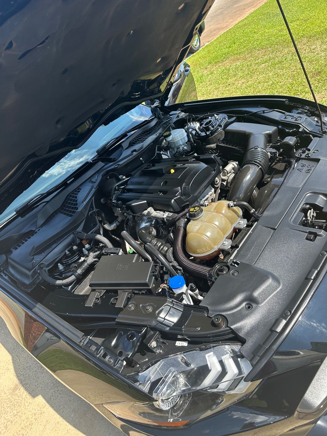 Car Preview