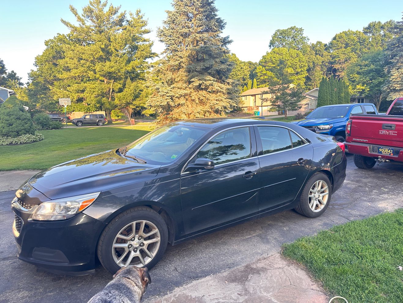 Car Preview