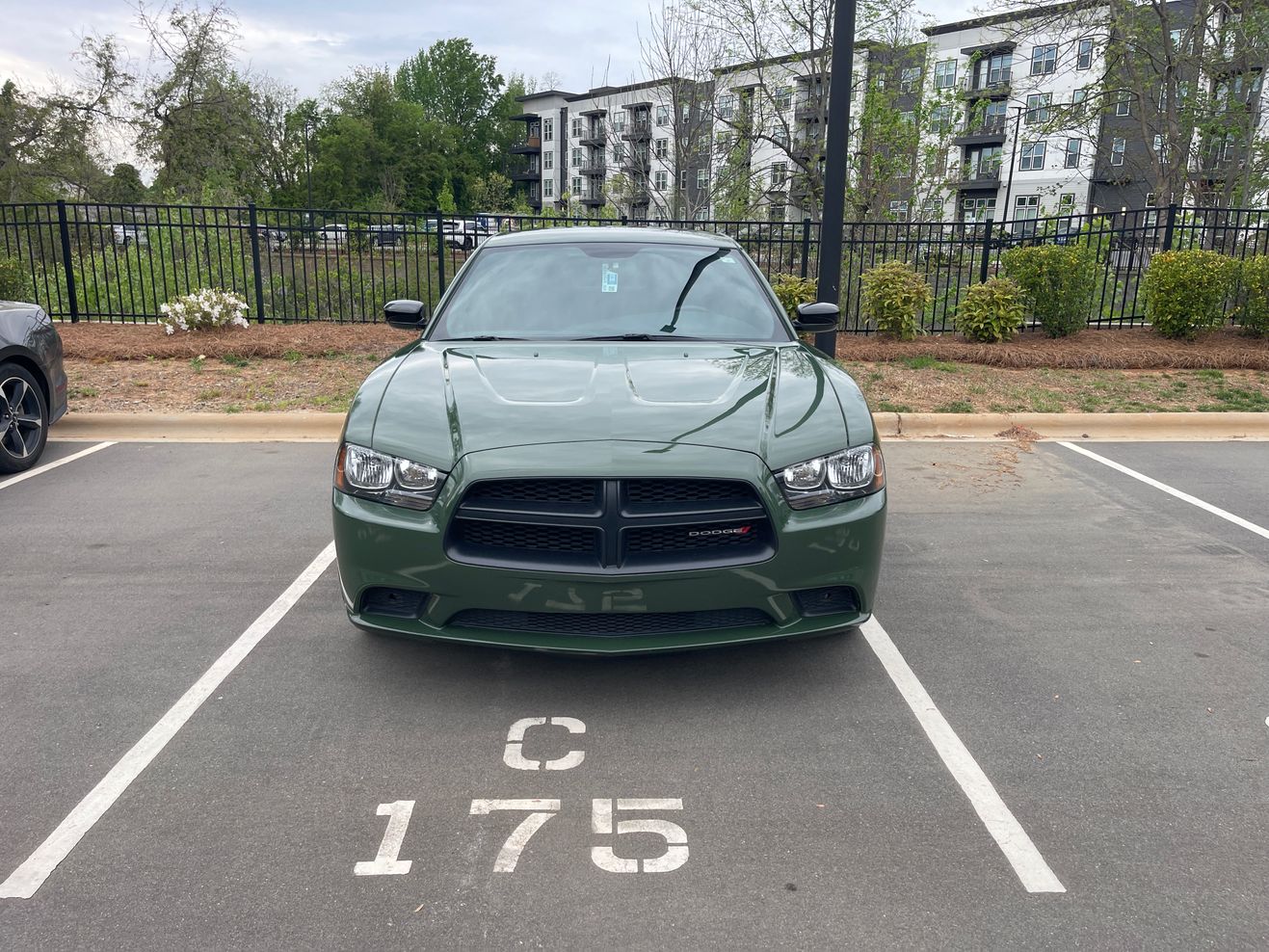 Car Preview