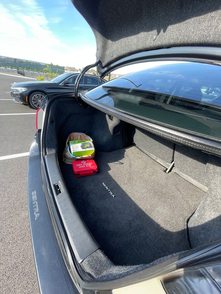 Car Preview