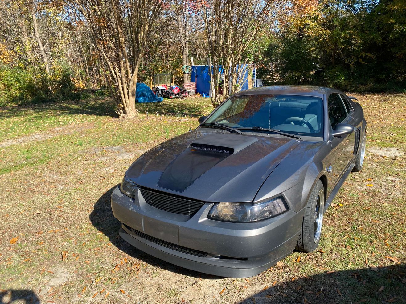 Car Preview