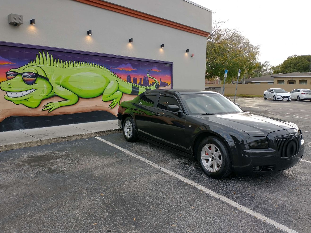 Car Preview